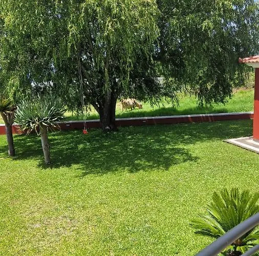Henrique Country