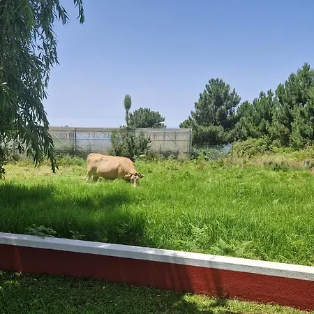 別荘 Henrique Country