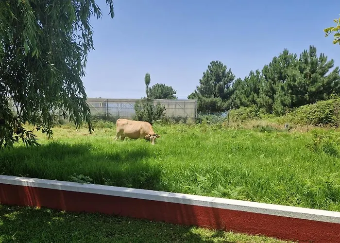 Prázdninový dům Henrique Country